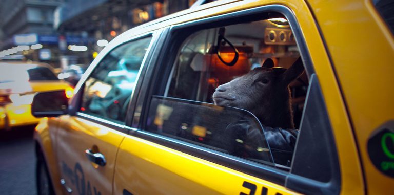 В США ввели налог на Uber