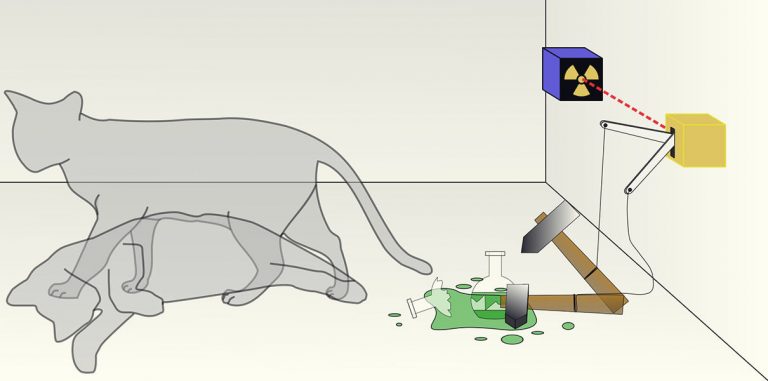 Ученые записали парадокс кота Шредингера на камеру
