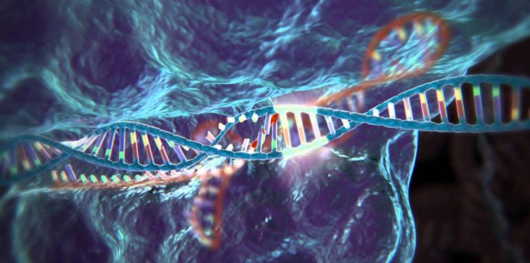 Технология CRISPR впервые испытана на человеке