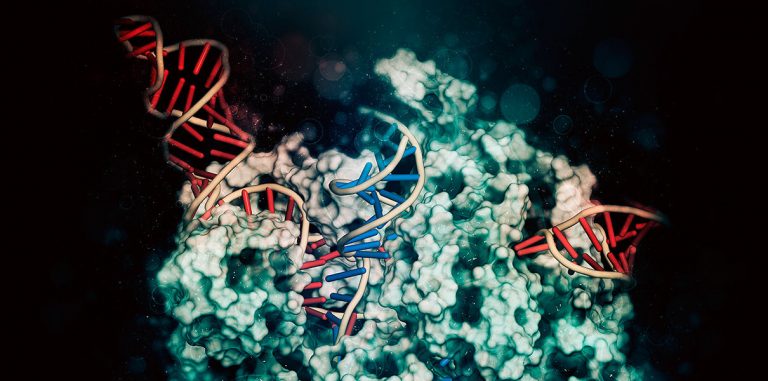«Молекулярное лего» может улучшить технологию CRISPR