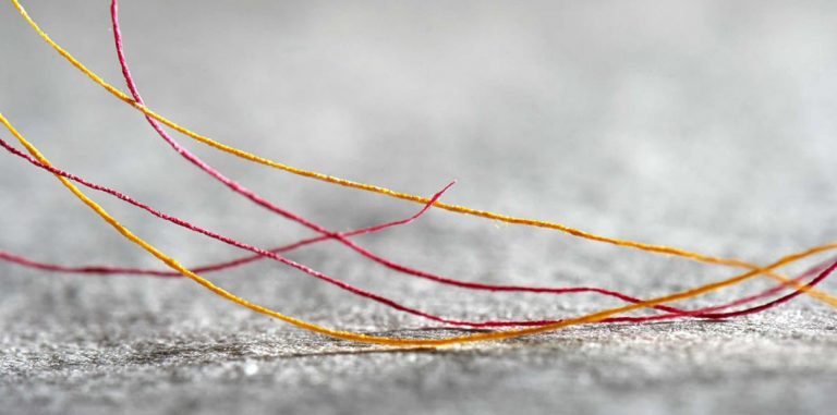 Представлена технология переработки дерева в пряжу