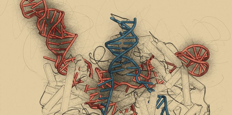Генетики нашли способ сделать технологию CRISPR более безопасной