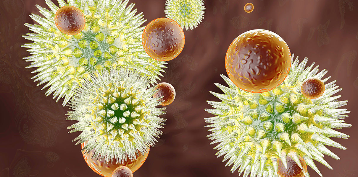 Virus v. Virus vs immune. Микробы в крови. Virus vs immune System. Makro viruslar (macro viruses).