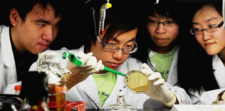 Культ победы и отсутствие господдержки мешают STEM-образованию
