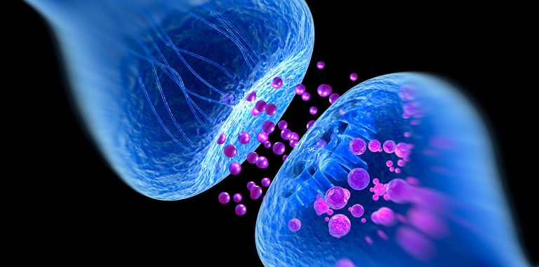 Французские ученые создали искусственные синапсы, способные обучаться