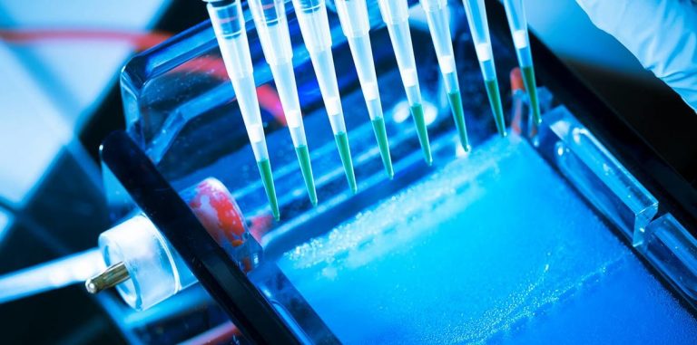 Синтетическая биология за год привлекла $1,2 млрд инвестиций
