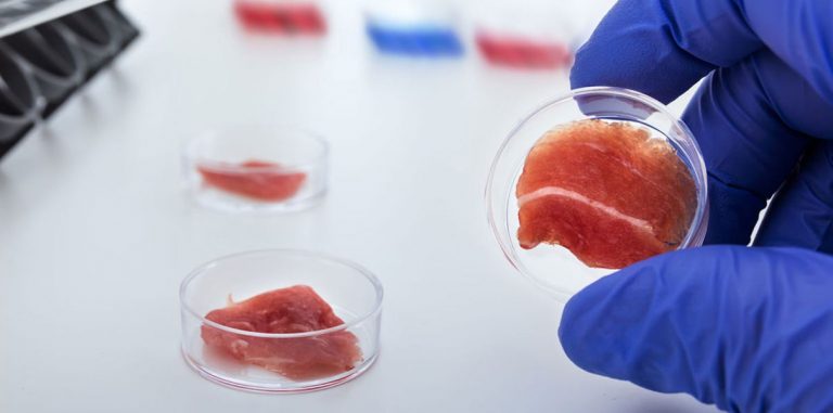 Американцы готовы массово переходить на синтетическое мясо
