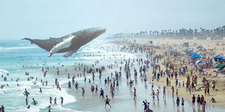 Секретный стартап Magic Leap скоро выйдет на рынок