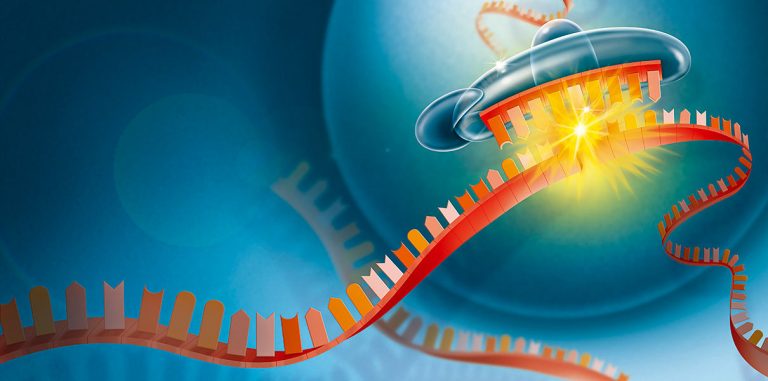 CRISPR: технологии генной инженерии не находят одобрения