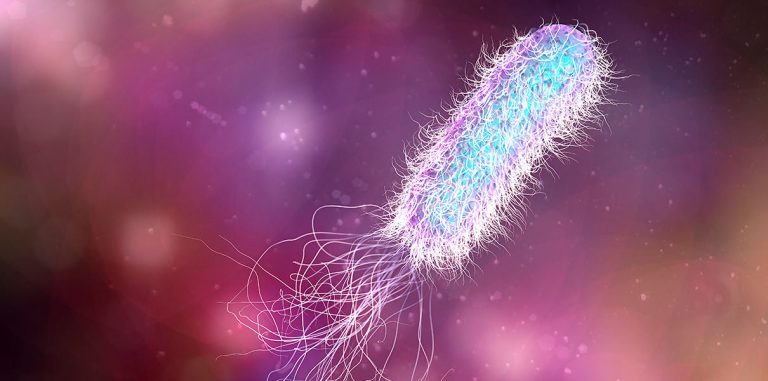 CRISPR поможет вирусам убивать бактерии