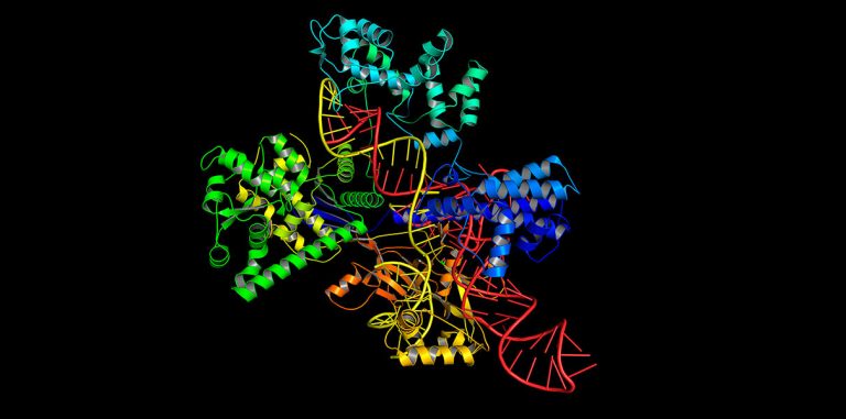 Генетики объяснили причину ошибки в статье про мутации из-за CRISPR