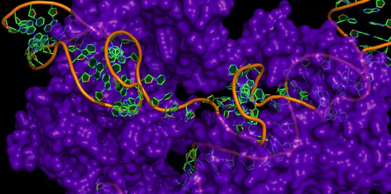 9 достижений, которые были бы невозможны без CRISPR