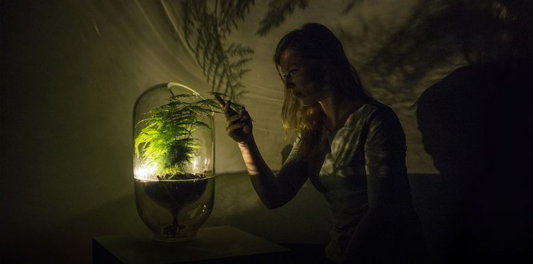 Голландский дизайнер создала «живой свет» — растения-лампы