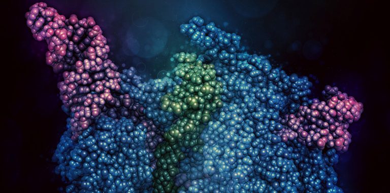 Битва за CRISPR: «Решение суда противоречит здравому смыслу»