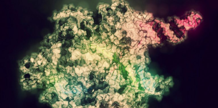 7 вариантов того, как CRISPR может изменить мир