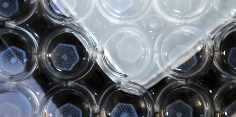 Лекарства будут испытывать на искусственных 3D-тканях печени