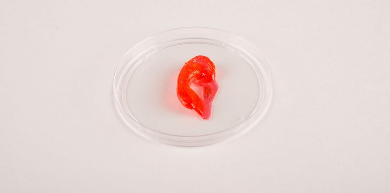 Создан 3D принтер для печати мускулов, костей и хрящей