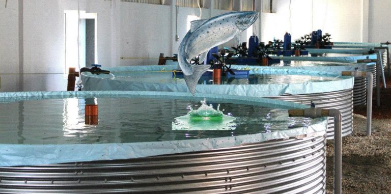 Вертикальные рыбные фермы позволят выращивать 5000 тонн рыбы в год