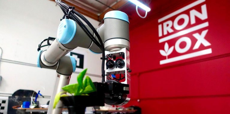 Iron Ox «изобретает» автоматизированное сельское хозяйство