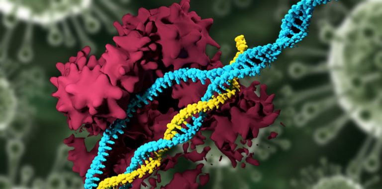 В МТИ усовершенствовали CRISPR с помощью наночастиц