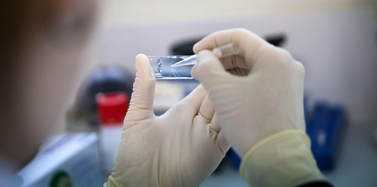 Разработана стратегия омоложения иммунных клеток