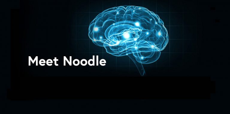 Noodle Analytics: искусственный интеллект для современного бизнеса