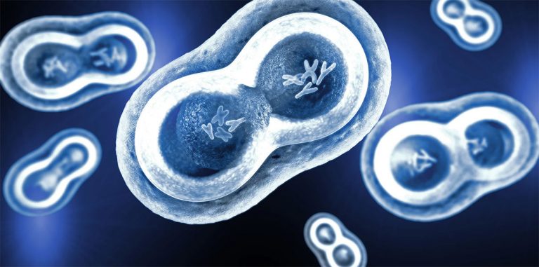 На смену CRISPR идет генное редактирование 2.0