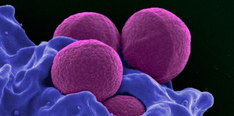 Ученые обнаружили у людей иммунитет к CRISPR