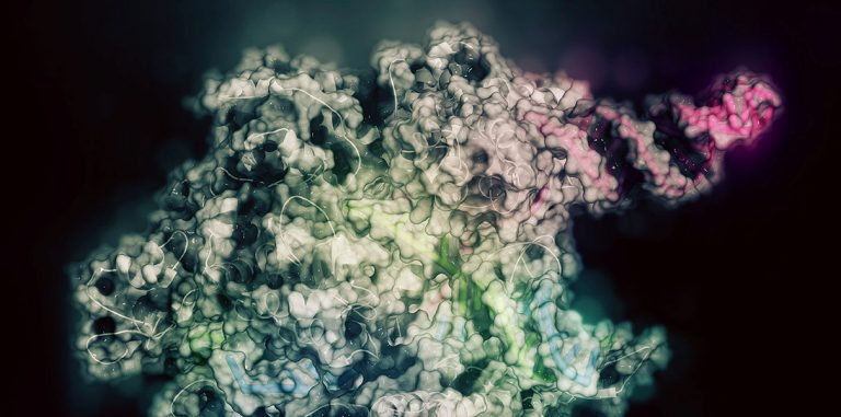 ИИ Elevation от Microsoft повысит точность CRISPR