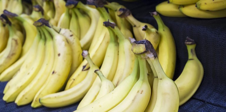 Разработаны электронные татуировки для продуктов