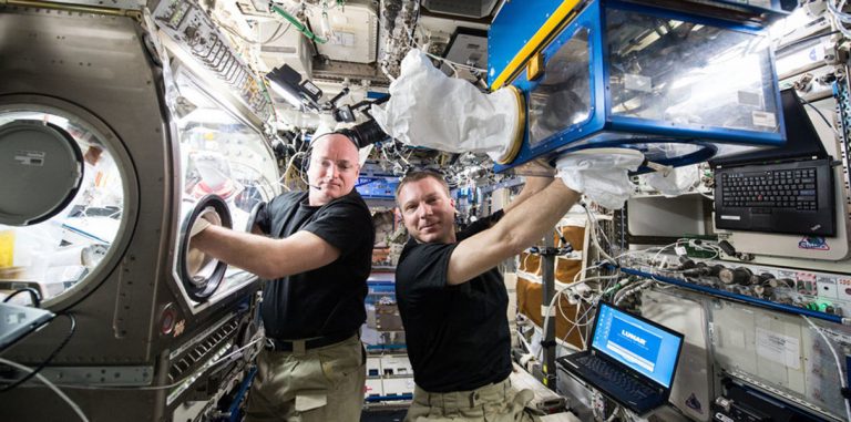 NASA тестирует имплант, предотвращающий атрофию мышц в невесомости