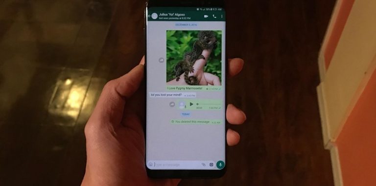 WhatsApp разрешил скачивать данные о своей переписке