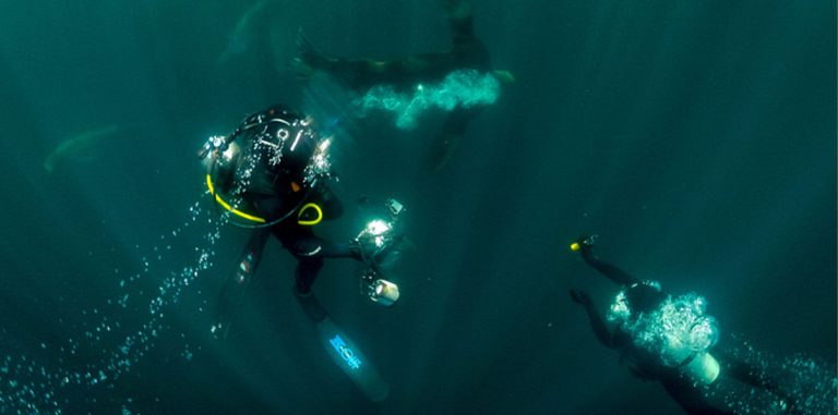 Ученые впервые за 30 лет проведут глубоководную съемку в Охотском море для добычи новой рыбы