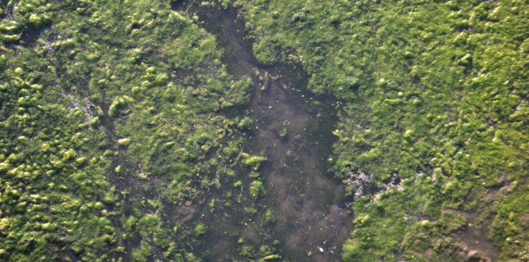 Мебельные и швейные фабрики убивают водоемы. Раньше в этом обвиняли только фермеров