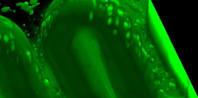 Ученые создали искусственный плацентарный барьер с помощью 3D-принтера