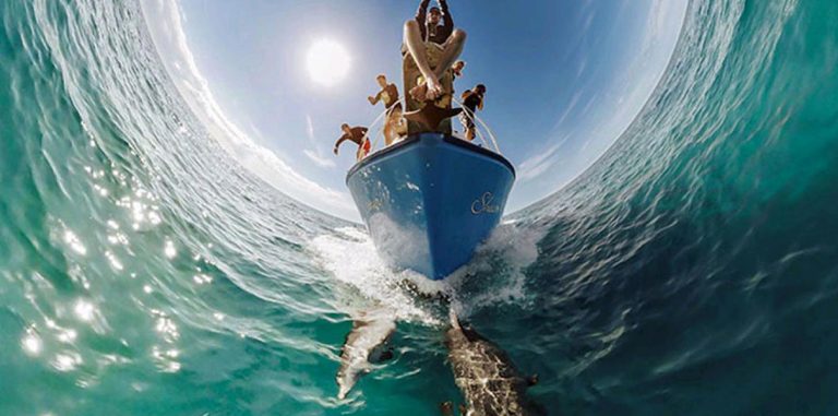 GoPro выпускает камеру и платформу для ВР
