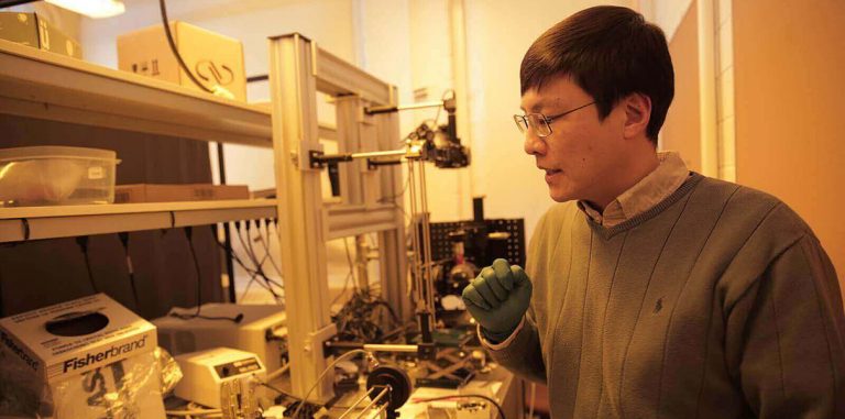 Создан искусственный глаз, видящий в темноте