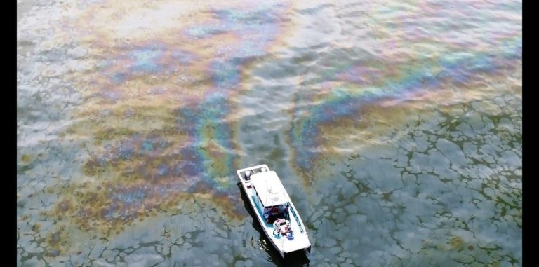 В Мексиканский залив уже 14 лет непрерывно вытекает нефть. Экологи заметили это только сейчас