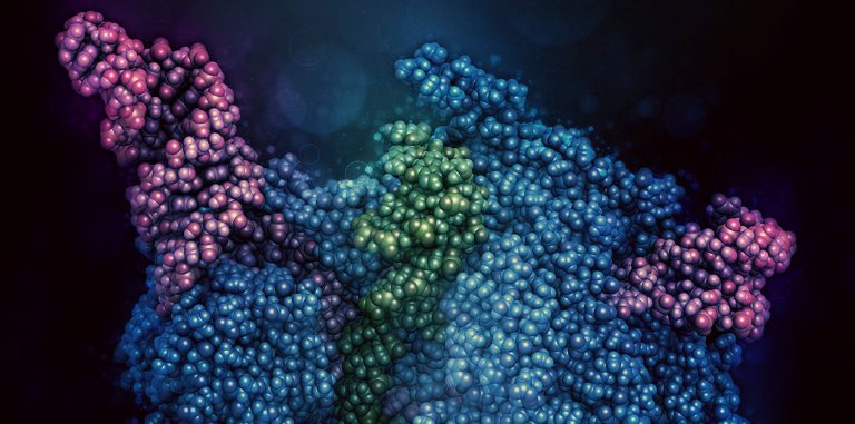 Ученые открыли технологию CRISPR-радуги