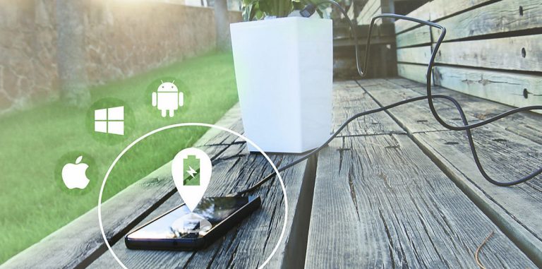 Bioo Lite заряжает смартфоны комнатным цветком