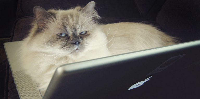 Imgur вызывает привыкание