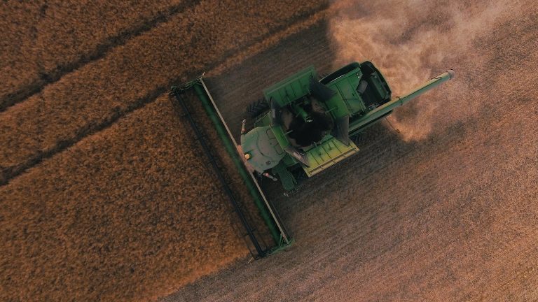 Углеродная революция: как водоросли и регенеративное земледелие спасут планету от глобального потепления