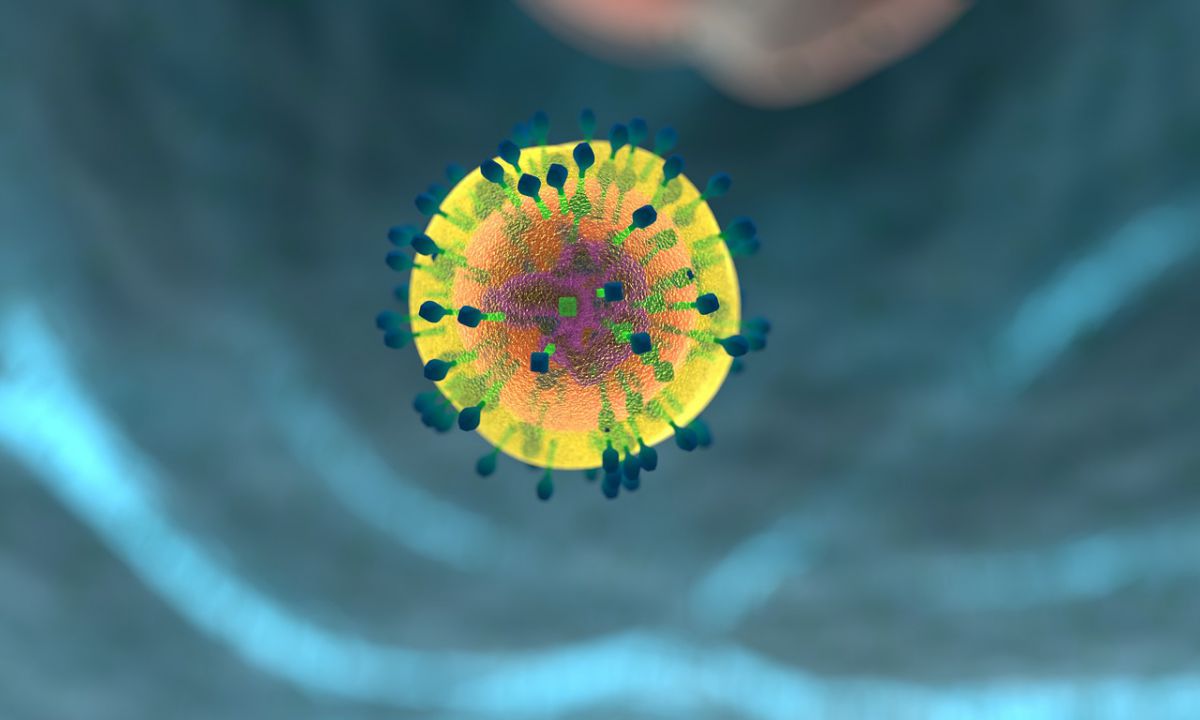 Из клеток кожи человека сделали клетки иммунитета. Они помогут в борьбе с раком