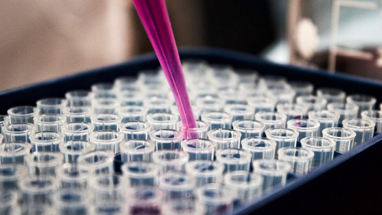 Дети CRISPR: почему в 2018 году человечество так боится редактировать гены людей?