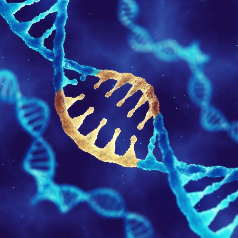 CRISPR позволил генетикам раскрыть химическую структуру репликации ДНК. Ученые не могли раскрыть ее 70 лет!