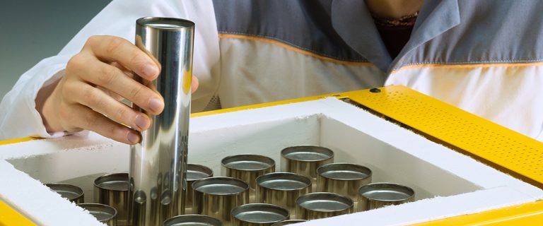 Немецкие инженеры создали на основе поваренной соли дешевые и экологичные аккумуляторы