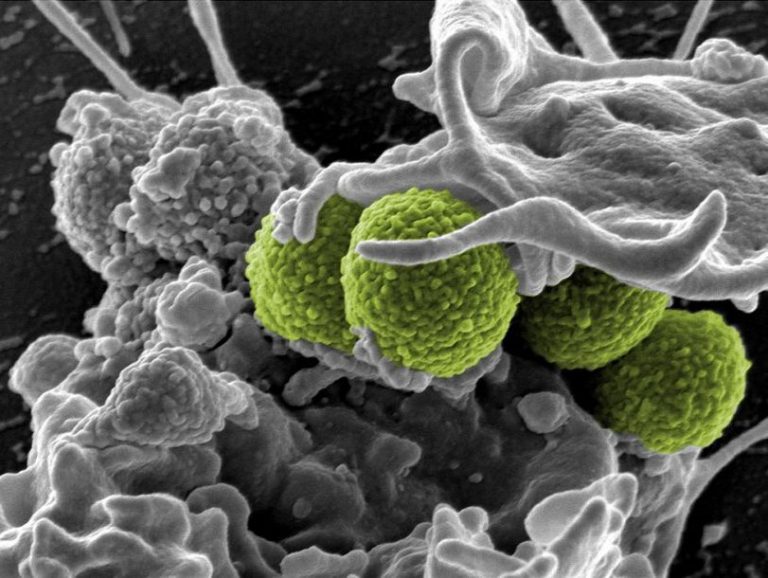 Ученые применили CRISPR для улучшения антибиотиков