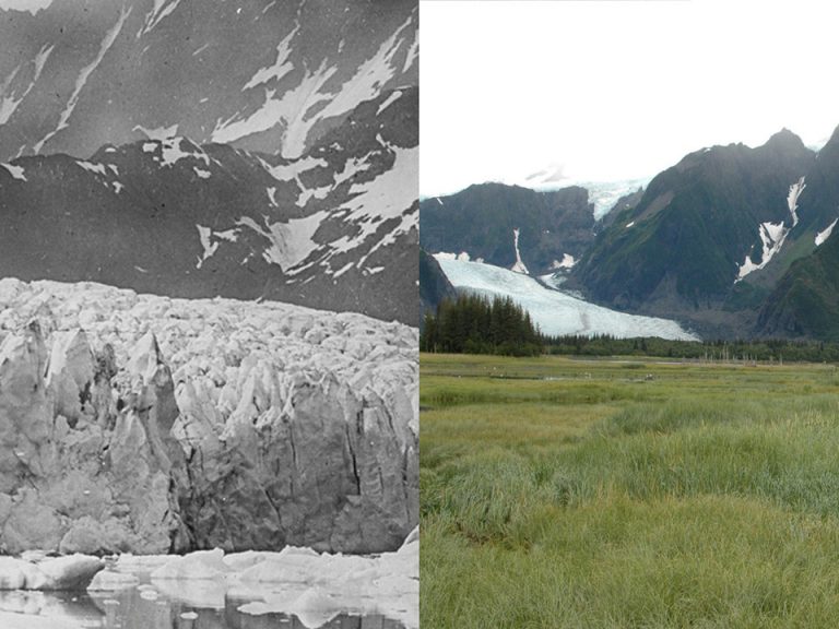 Посмотрите на экологический #10YearChallenge — как глобальное потепление влияет на Землю