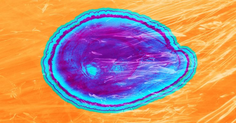 Появилась пленка, которая в два раза увеличивает срок годности продуктов