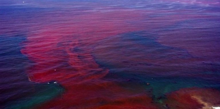 Глобальное потепление сделает цвет воды в океане ярче
